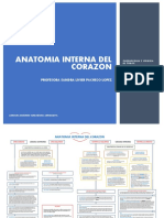 Anatomía interna del corazón: atrios, ventrículos y válvulas