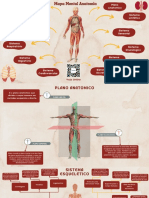 Sistemas do corpo humano