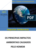 Impactosambientais Causaseconsequncias