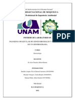 INFORME 05 - Filogenia Molecular de Genes Ribomales y Construcción de Un Dendrograma