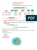 Acumulatico Naturales 1 Periodo