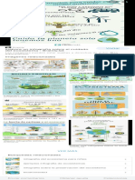 Infografía Sobre La Importancia de La Preservación Del Ecosistema Brainly - Búsqueda de Google