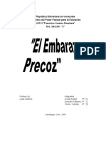 Priyecto El Embarazo Precoz Beta