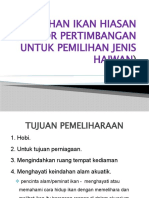 Tajuk 6 PEMILIHAN IKAN HIASAN