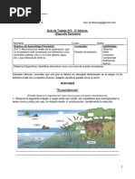 Guia de Ciencias-4-Basico