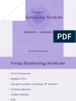 Lecture 9 Biotek Molekuler