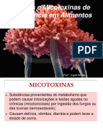 Fungos e Micotoxinas de Importância Alimentar