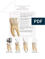 Fundamentals: Predictable Endodontic Success: The Hybrid Approach Shaping and Cleaning Drs. Nahmias and Serota