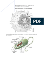 Microbiología Semana 2