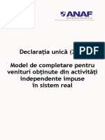 Model DU Activitati Independente Impuse in Sistem Real 2022