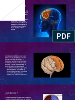 Funciones del lóbulo frontal