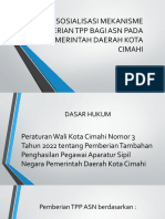 Sosialisasi Mekanisme Pemberian TPP Bagi Asn Pada Pemerintah