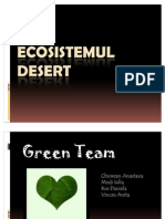Ecosistemul Desert