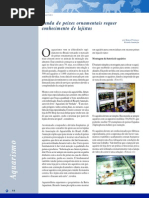 Venda de peixes ornamentais requer conhecimento de lojistas