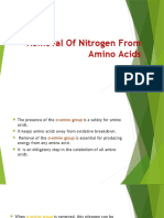 Removal of Nitrogen from Amino Acids via Transamination and Oxidative Deamination