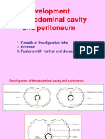 Development of The Abdominal Cavity and Peritoneum