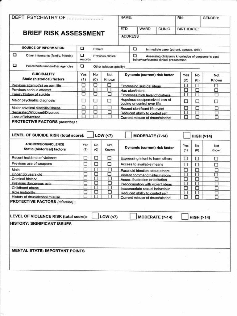 Brief Risk Assessment | PDF