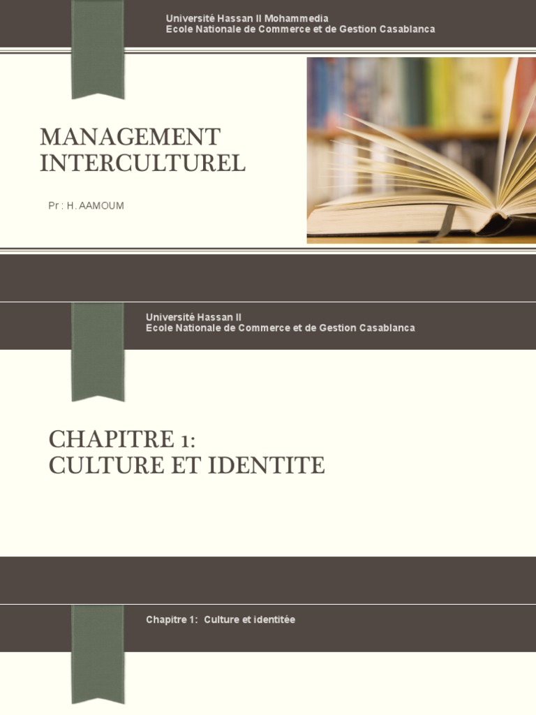 Management Interculturel et Culture | PDF | Social Science | Science ...