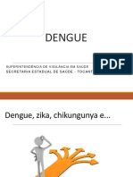 Atualiza o Dengue Vers o WEBCONFER NCIA 02-05-2019
