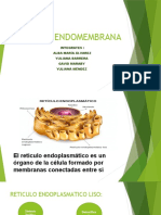 Red de Endomembrana