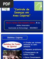 Download doenas galinhas caipira by Mozar Medeiros SN57754702 doc pdf