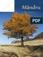 Mandru de Maramures 8