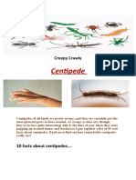 Centipede: Creepy Crawly