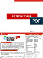 Ficha Caracterizacion Petrowayuu 2017