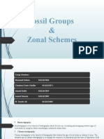 Fossil Groups & Zonal Schemes