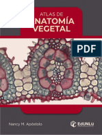 Atlas Anatomia Vegetal Unlu