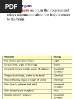 An Organ That Receives and Relays Information About The Body's Senses To The Brain