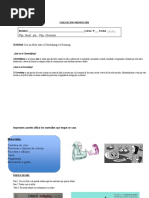 Trabajo Evaluado  Orientación