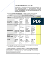 Protocolo Final Supervisión Adaptado FONDECYT 1201600