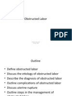 Obstructed Labor: Asheber Gaym M.D. January 2009