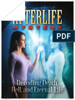 The Afterlife Mystery
