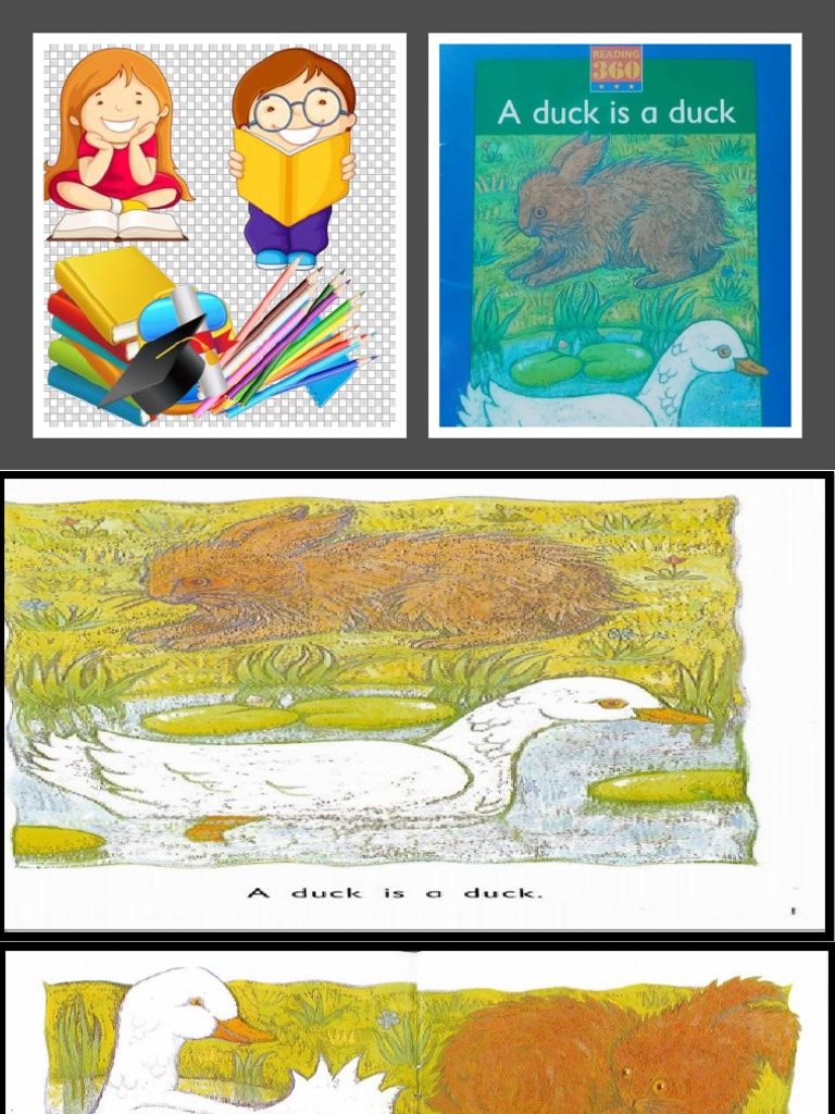 Reader 3 a Duck is a Duck | PDF