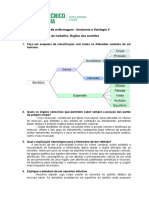 Órgãos dos sentidos e anatomia fisiologia