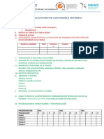 Esquema de Presentación de Caso Modelo Sistemico