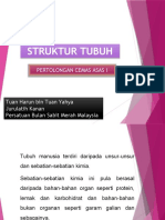 Struktur Tubuh