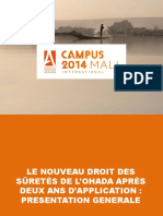 Actualite Du Droit Des Suretes (PDFDrive)