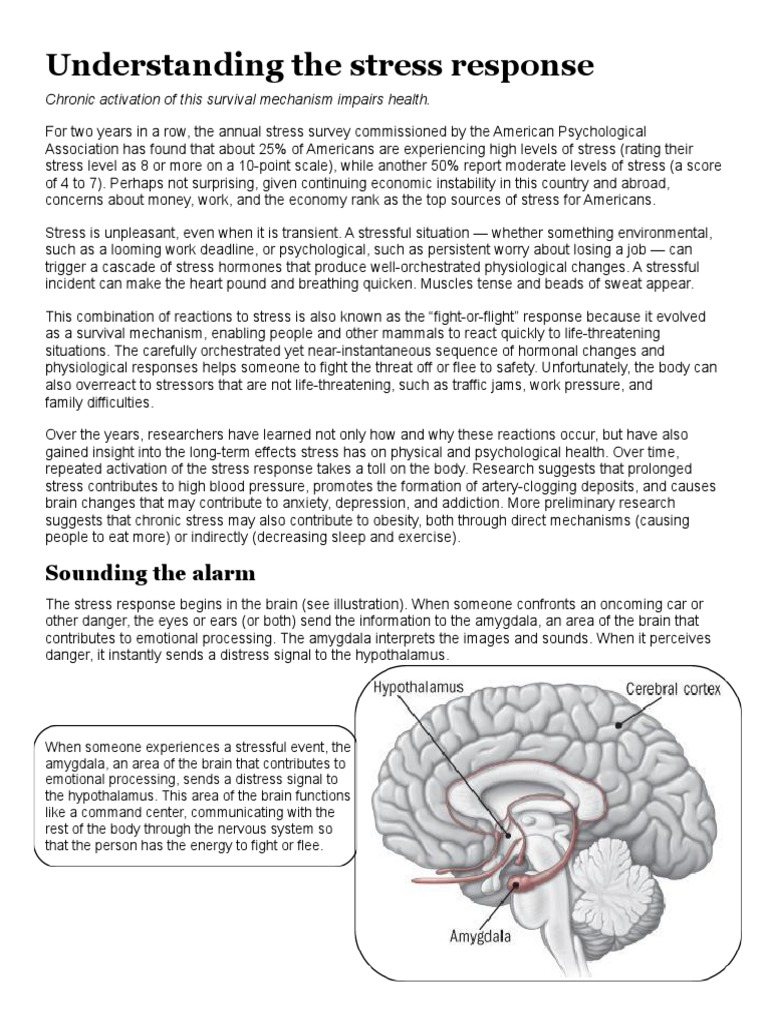 Impact of Chronic Stress on Health | PDF | Stress (Biology ...