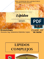 Clase 07 - Lipidos Ii