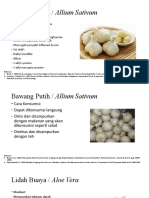 Bawang Putih / Allium Sativum