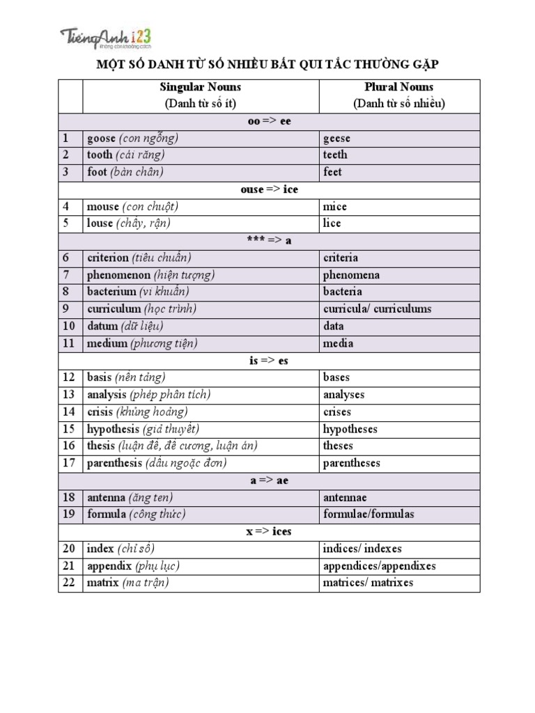 Irregular Plural Nouns PDF