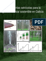 Herramientas Selvicolas para La Gestión Forestal Sostenible en Galicia