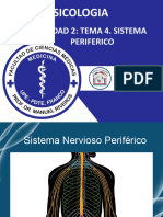 Unudad 2. Tema 4. Sistema Nervioso Periférico