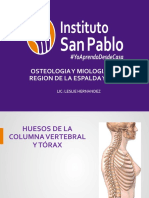 Anatomía de la columna vertebral y huesos del tórax