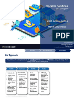 Flockker Solutions: MSME Business Banking Market Entry Strategy