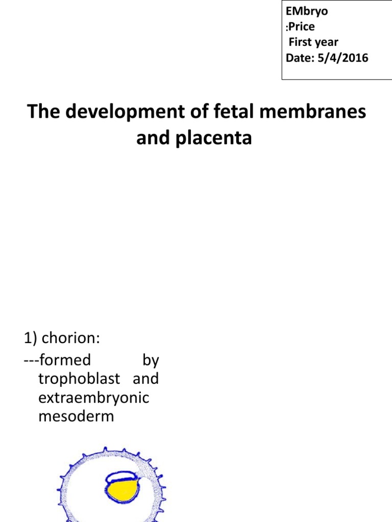 Fetal Membranes and Placenta | PDF | Placenta | Twin