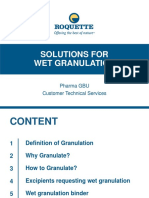 03 Solutions For Wet Granulation